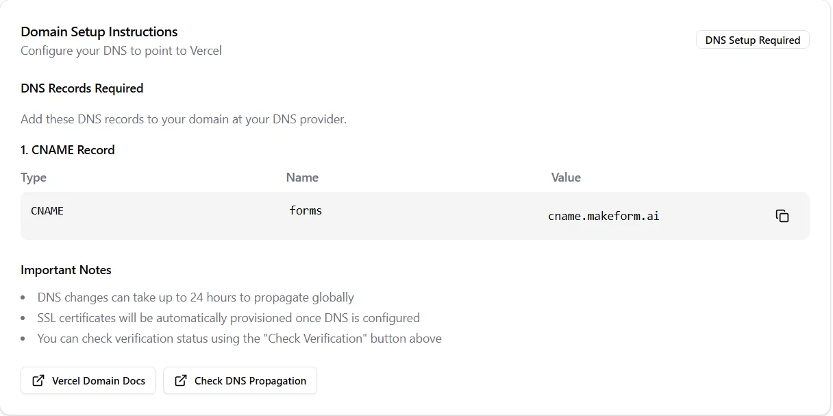 DNS setup instructions